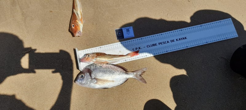 Fish Measure Picture